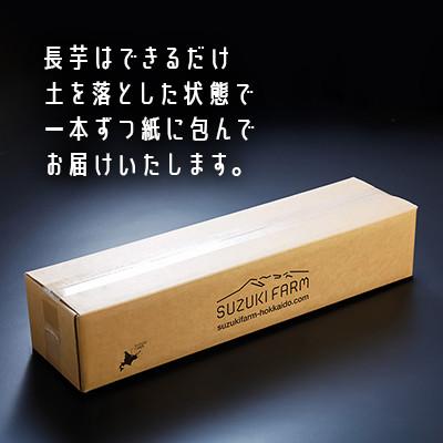 ふるさと納税 網走市 令和7年産　SUZUKI FARM　長いも5kg (L〜2Lサイズ 7〜8本) |  | 03