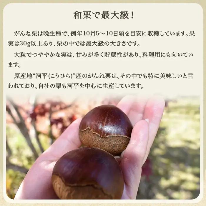 岩国がんね栗「栗のカケラ」70g×3箱【がんね栗の里】