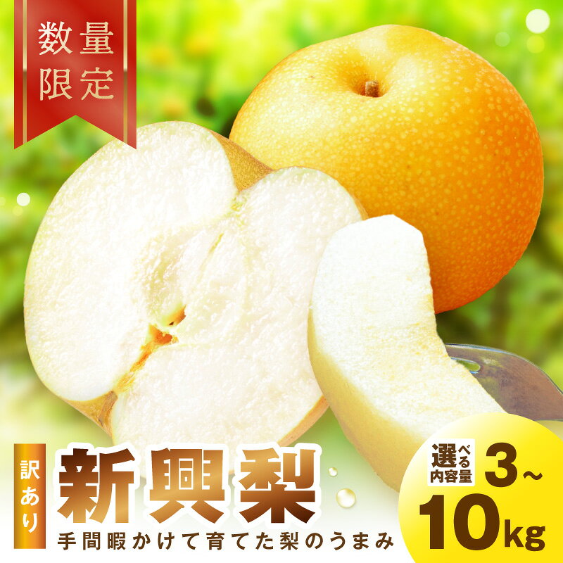 【ふるさと納税】2026秋発送/訳あり【先行予約／数量限定】訳あり 新興梨 3kg 5kg 10kg（2026年10月中旬～発送）選べる 内容量 ふるさと納税 訳あり フルーツ くだもの 国産 梨 新興梨 わけあり 訳有り ワケアリ 2026年 先行予約 ふるさと納税 梨