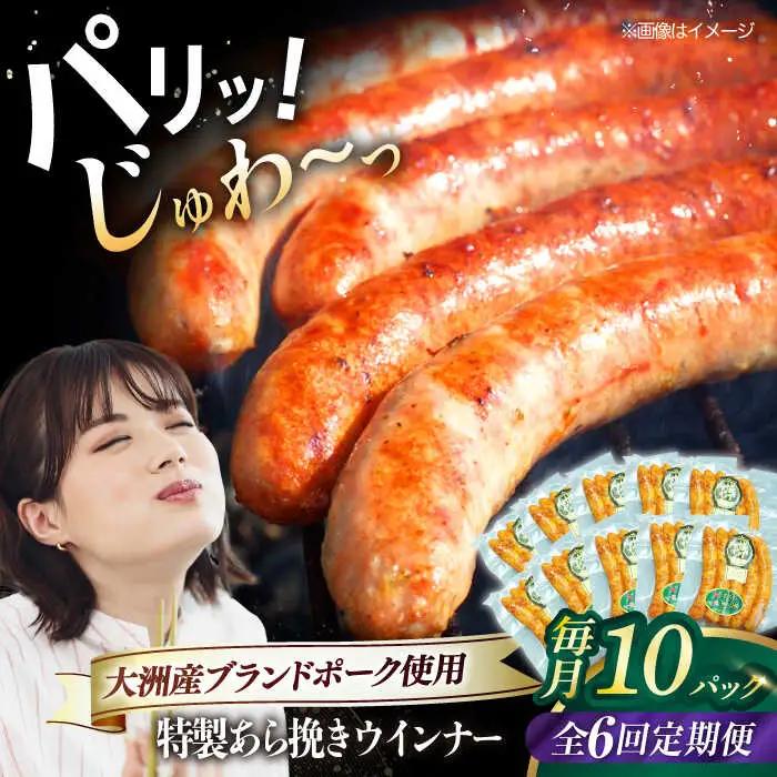 ウインナー【全6回定期便】特製 5本入り×10袋  ウインナー[AGAZ080]