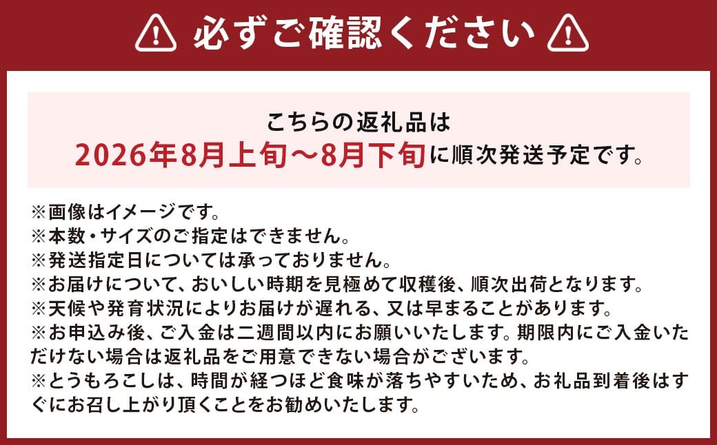 北海道産 とうもろこし 恵味 2Lサイズ 11本 約4kg 1箱