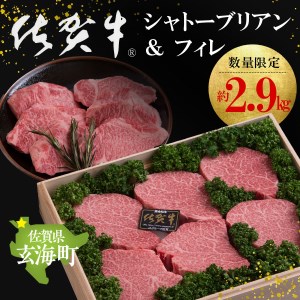佐賀牛シャトーブリアン＆フィレ 約2.9kg｜シャトーブリアン シャトーブリアン シャトーブリアン シャトーブリアン シャトーブリアン シャトーブリアン【E029】