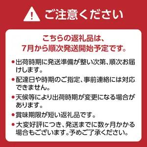 【先行受付】＜福岡のスモモ＞貴陽 1.2kg|JAふくおか八女| すもも すもも フルーツ 産地直送 高糖度 糖度18度 美味しい 濃厚 甘酸っぱい 旬 先行予約 数量限定 期間限定 クール便 冷蔵配