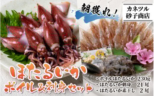 【先行予約】ほたるいか ボイル＆刺身セット※着日指定は備考欄へ 【26年3月中旬以降順次発送】カネツル砂子商店【 きまぐれクックにてご紹介 冷蔵 ホタルイカ 旬 朝どれ おつまみ 期間限定 海鮮 ボイル 刺身 ほたるいか 蛍烏賊 ボイルほたるいか 富山県 富山 富山県産 魚介類 いか イカ 烏賊 定置網 春の風物詩   】