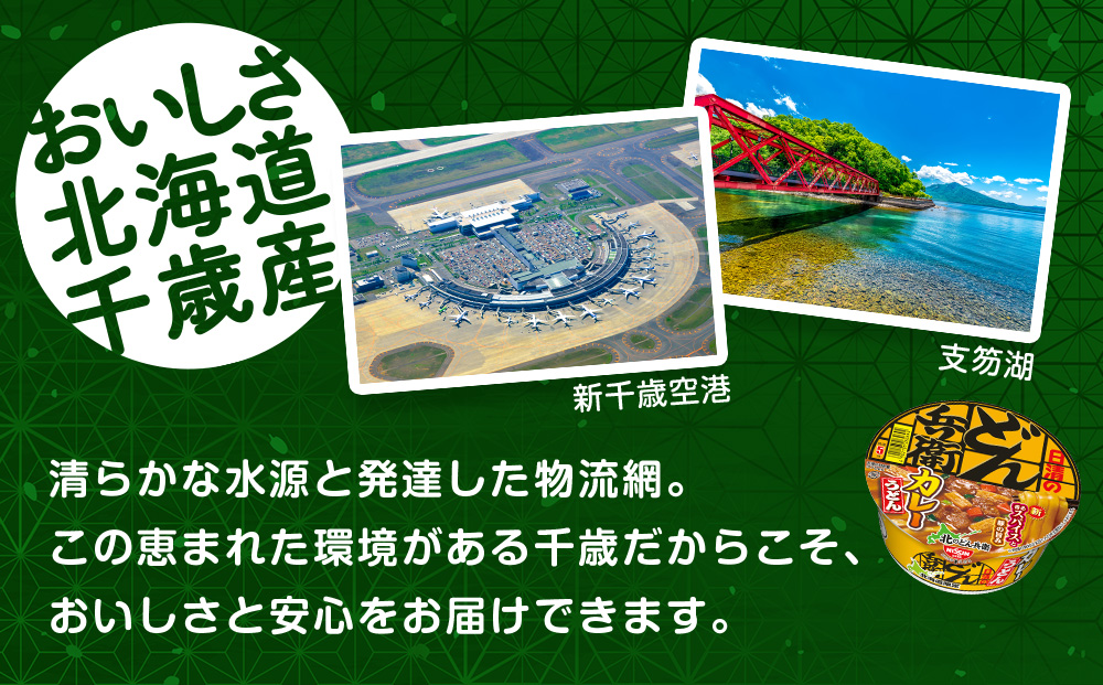 【定期便12カ月】日清 北のどん兵衛 カレーうどん [北海道仕様]12個