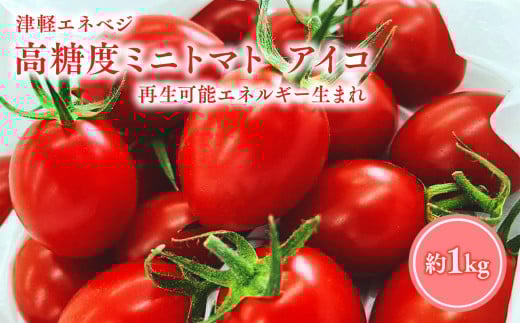 ≪7月以降順次発送≫ 高糖度 ミニトマト [アイコ] 約1kg トマト とまと プチトマト 高品質 野菜 やさい 減農薬 お取り寄せ 青森県 平川市 平川 