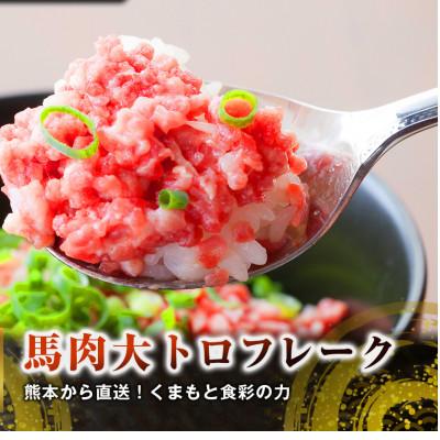 ふるさと納税 合志市 熊本直送　馬刺しブロック肉　上霜降り(トロ)400g+大トロフレーク300g(合志市) |  | 01