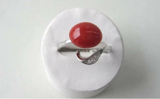 珊瑚職人館の珊瑚の指輪49