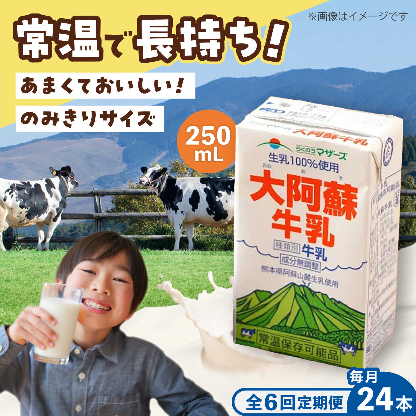 【ふるさと納税】【全6回定期便】大阿蘇 牛乳 250ml(24本入り) / 阿蘇 熊本 乳牛 生乳 牛乳 無調整 自然 らくのう 成分無調整牛乳 ミルク カルシウム 常温保存 長期保存 送料無料 熊本県 菊陽町 国産 九州 紙パック 【合同会社 たべたせいか】[BHBY023]