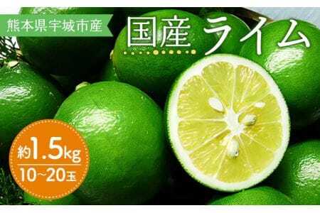 ライム 国産 約1.5kg 10～20玉 2025年9月下旬～2026年3月中旬発送