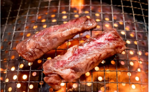 牛ハラミのタレ漬け1.2kg（600g×2P）_2158R_イメージ3