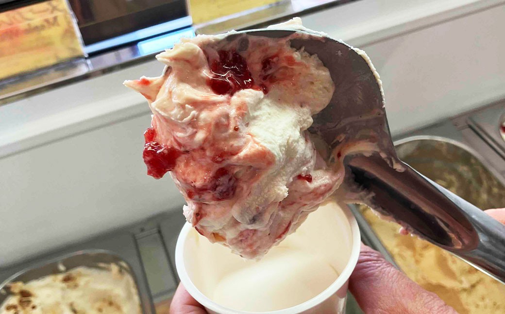 手作りジェラート 選べる8個セット