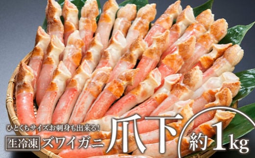 ひとくちサイズ お刺身も出来る！生冷凍ズワイガニ爪下 約1kg【0303504】