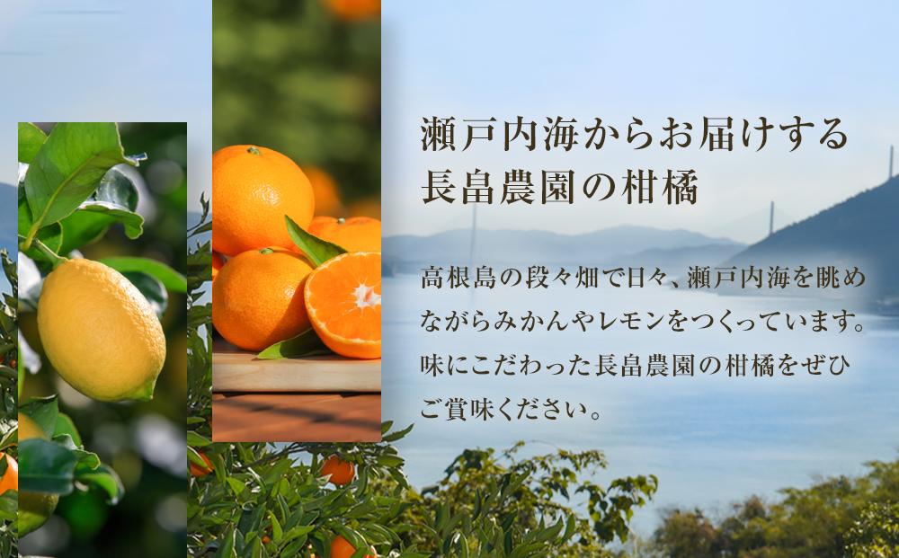 めっちゃジューシー　完熟清見3ｋｇ　＜2026年3月下旬より発送開始＞【ミカン みかん 蜜柑 フルーツ 果物 完熟 青果 柑橘 尾道市】
