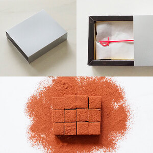 チョコレート スイーツ 生チョコ 12個 セット 冷凍