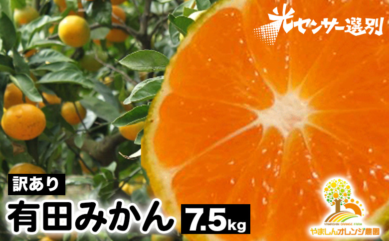 【訳あり】有田みかん 7.5kg | 農家直送 訳あり ご家庭用 サイズ混合 光センサー選別 温州みかん みかん 訳あり わけあり 家庭用  ※2025年11月中旬～12月下旬頃に順次発送予定 ※北海道・沖縄・離島への配送不可