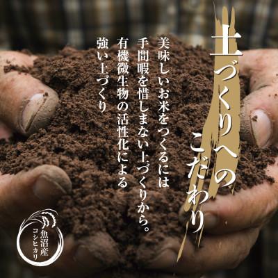 ふるさと納税 十日町市 【毎月定期便】[無洗米] 魚沼産 コシヒカリ 10kg 精米(お米の美味しい炊き方ガイド付)全6回 |  | 02