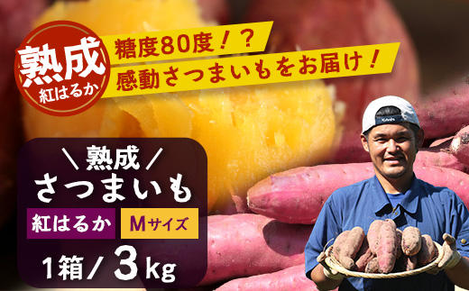 【鹿児島県産】熟成 紅はるか 3kg (1箱 ) Mサイズ さつまいも【2025年11月下旬より順次発送】FR-213