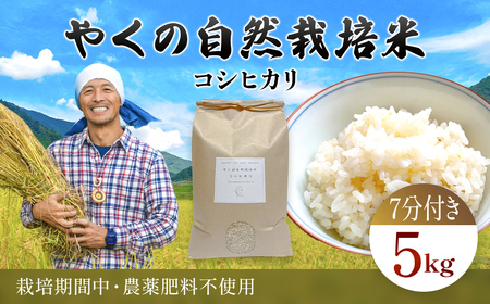 【令和8年産先行予約】 米　新米　京都府産コシヒカリ 精米 （7分づき） 5kg  自然栽培 令和8年産 FCEV001