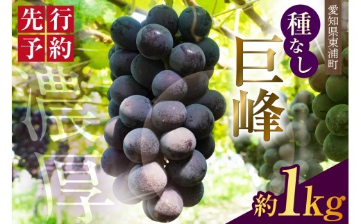 
                  【先行予約】【2026年8月発送】東浦町産 種なし巨峰（約1kg）｜ぶどう 葡萄 ブドウ 巨峰 グレープ 種なし 果物 新鮮 朝採り 直送 高糖度 甘い フルーツ 旬 ギフト 2026 愛知県 東浦町
                