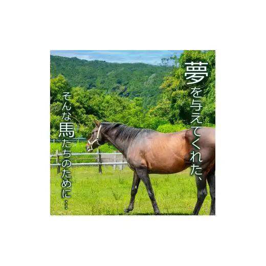 【 支援 】 支援引退馬 100万 