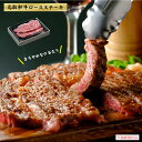 【ふるさと納税】肉のとうはく 鳥取和牛 ロースステーキ 180g×2【天満屋選定品】【24-045-001】東伯ミート 肉のとうはく 肉 和牛 牛肉 お取り寄せ グルメ ご当地グルメ ロース ステーキ オレイン酸 上部位 鳥取県 米子市