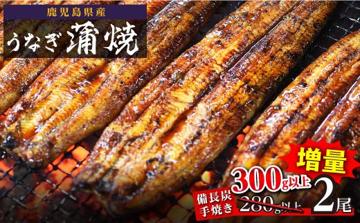 鹿児島県大隅産 うなぎ備長炭手焼蒲焼２尾(合計300g以上） 464686_AK47