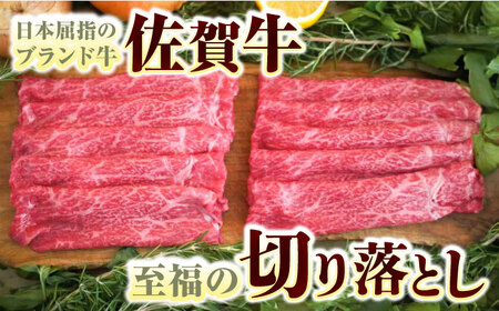 【牧場直送】佐賀牛切り落とし 計1kg（250g×4袋）/ 佐賀牛 牛肉 切り落とし ロース モモ カタ バラ 赤身 すき焼き しゃぶしゃぶ 小分け / 佐賀県 / 佐賀セントラル牧場 [41ASAA