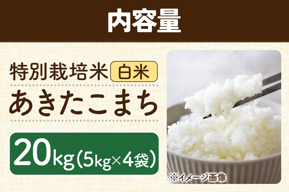秋田県 横手市 【白米】令和7年産 秋田県産 特別栽培米 あきたこまち 20kg（5kg×4袋） [秋田県産 あきたこまち 秋田こまち 特別栽培米 令和7年産 白米]