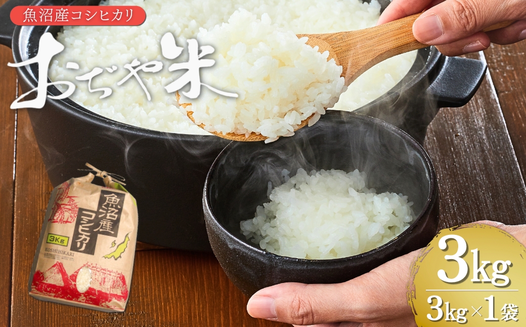 令和7年産 魚沼産コシヒカリ「おぢや米」 計3kg（3kg×1袋） クラフト袋 | 新潟県産コシヒカリ 米 お米 こめ こしひかり 魚沼産 小千谷市 白米 精米 ブランド米 【0002-JA12-01