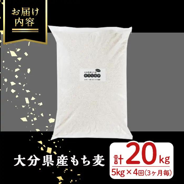 ＜定期便・総計4回＞大分県産もち麦 キラリモチ(総計20kg(5kg×4回(3ヶ月毎))ダイエット 健康 業務用【212400100】【天峯ファーム】