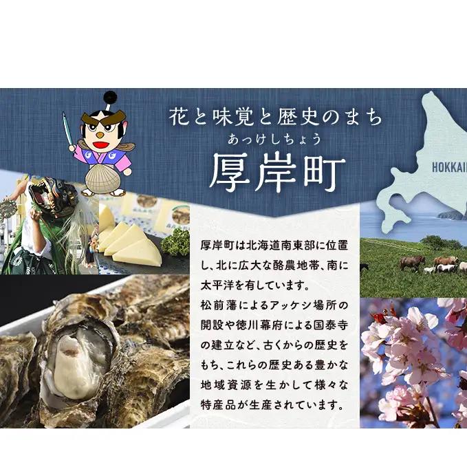 特大 あさり 500g ×2袋 (計約1kg) 砂出し済み アサリ あさり