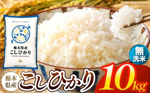 【令和8年産 新米】 栃木県産 お米 こしひかり　（無洗米） 10kg 【2026年秋以降発送】 |  栃木県 矢板市 【栃木県共通返礼品 真岡市産】