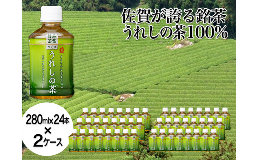 うれしの茶 280ml×24本入×2ケース / 佐賀県 / さが風土館季楽 [41AABE107]