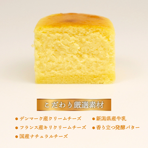 半熟スフレ チーズケーキ10個 5個入り 2箱 贈答 ギフト おすすめ 菜菓亭 新潟銘菓 新潟 新発田 いえい 菜菓亭 洋菓子 お歳暮 iei001_01
