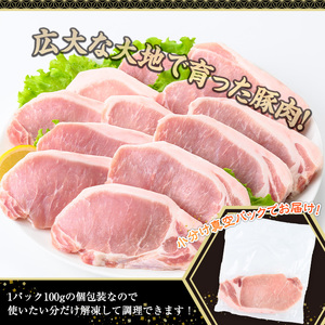 鹿児島県産 豚肉 ロース とんかつ 小分け (計1.6kg・100g×16P)【株式会社羽根】A722