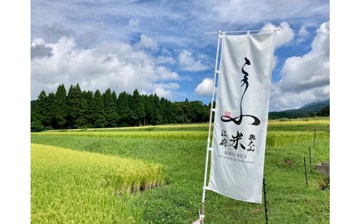 【令75年産】奥大山江府米コシヒカリ 3kg×1 /  プレミアム 特別栽培 こめ こしひかり 研究 精米 3キロ 0624