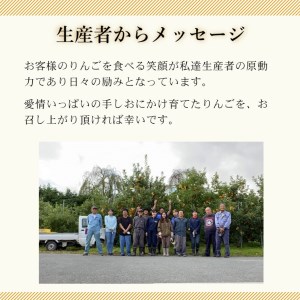 【スターファーム】 こだわり栽培の ジョナゴールド 厳選品 3kg 岩手県奥州市産りんご 産地直送 [AY009]
