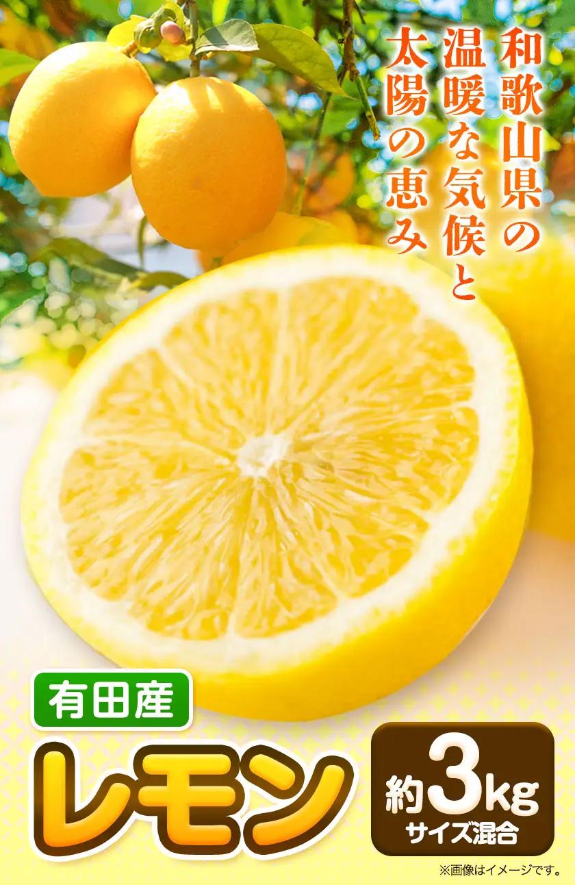 有田産 レモン 約 3kg 厳選館 レモン 檸檬