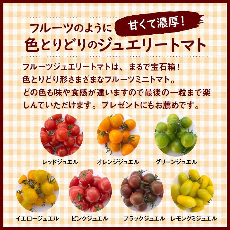 【先行受付】11月～6月毎月発送　まるで宝石箱!!ジュエリートマトの定期便　8回コース【個数限定】　H004-192
