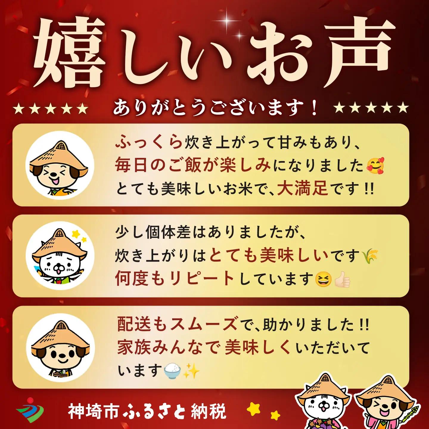 【令和8年産 新米先行受付】さがびより 精米 10kg【3ヶ月定期便】(H061E22)