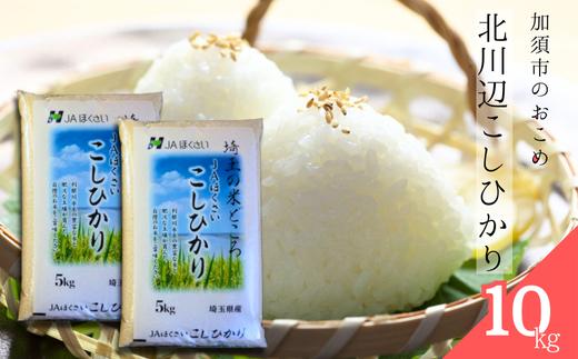 【令和７年産】北川辺こしひかり　精米10㎏