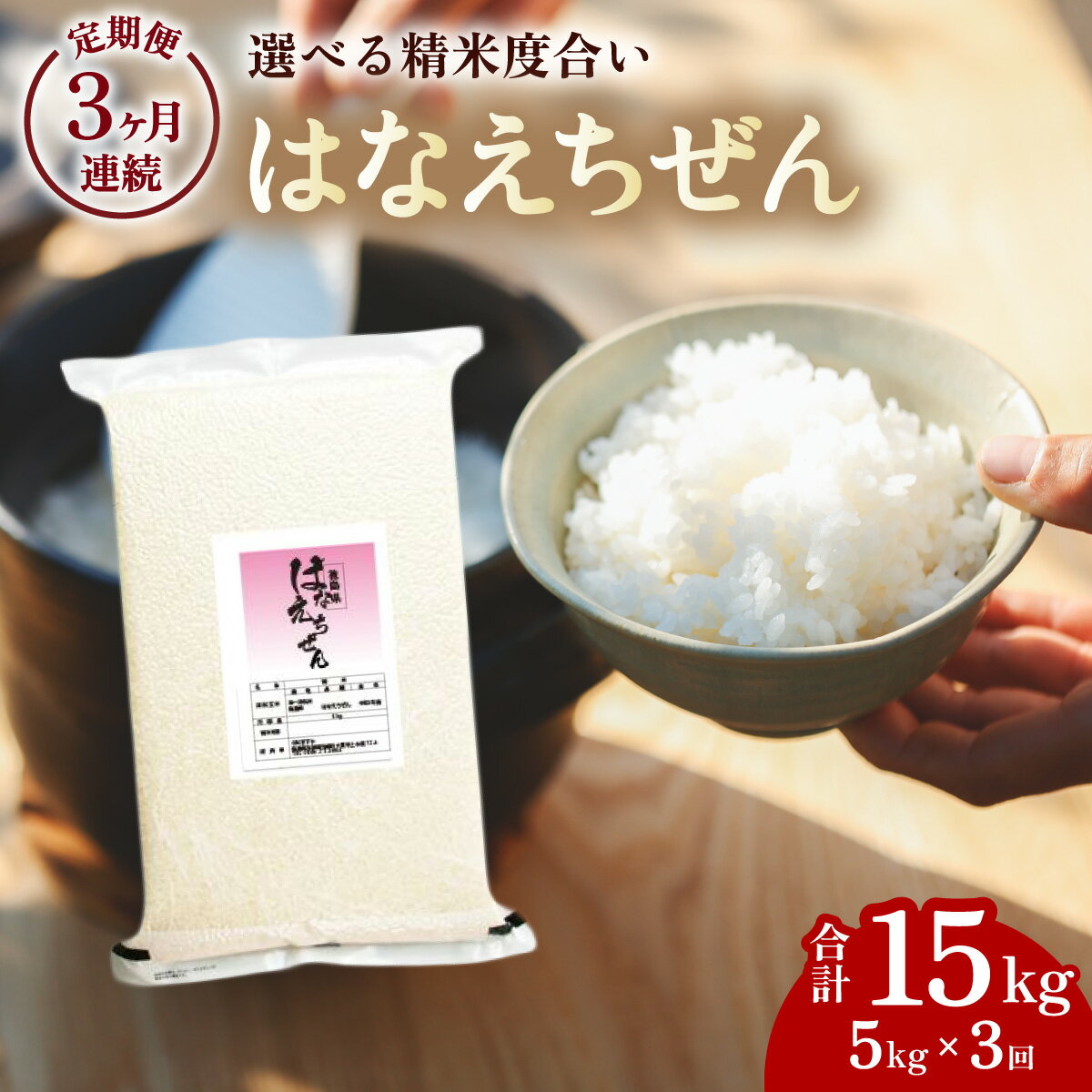 【ふるさと納税】 先行予約 はなえちぜん 白米 5kg×3回 3ヶ月連続 定期便 15kg 真空パック ハナエチゼン 米 簡易梱包 エコ梱包【2024年8月下旬以降順次お届け】