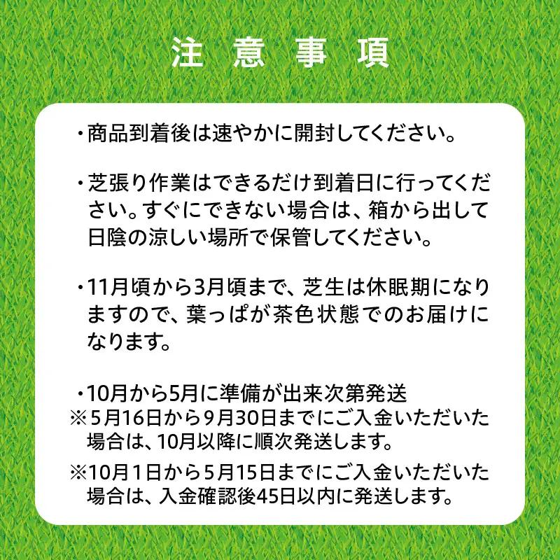 【10月から5月に発送】 高麗芝（10平方メートル） KN177-003-02 庭 芝生