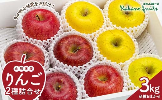 
            【仲野観光果樹園】≪2025年先行予約≫ 贈答用 山形県産 りんご 品種おまかせ 2種詰合せ 秀品 3kg（8～11玉） 2025年10月中旬から順次発送 F2Y-6122
          