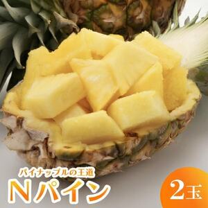 【発送月固定定期便】国頭産パイナップル3種セット(ゴールドバレル・スナックパイン・Nパイン)全3回【配送不可地域：離島】【4078649】