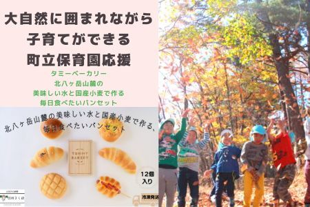 大自然に囲まれながら、子育てができる町立保育園応援＋タミーベーカリー　北八ヶ岳山麓の美味しい水と国産小麦で作る、毎日食べたいパンセット〔SA-07-08〕