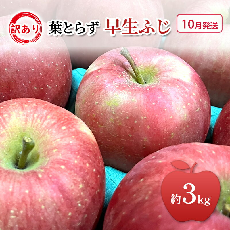 【ふるさと納税】10月発送 家庭用 訳あり 早生ふじ 約 3kg りんご リンゴ 林檎 果物 フルーツ わけあり 青森　お届け：2025年10月1日～2025年10月20日