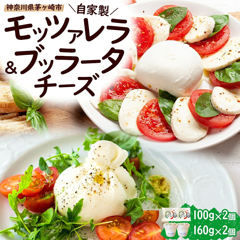 【ふるさと納税】自家製 チーズ 詰め合わせ モッツァレラチーズ 100g ブッラータチーズ160g 各2個 出来立て 神奈川県産 幻のチーズ 手作り 湘南 茅ケ崎 フレッシュチーズ おつまみ ピザ　お届け：準備が出来次第順次発送