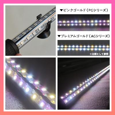 ふるさと納税 小牧市 金龍の鱗を美しく照らす!ピンクゴールドの水中アロワナライト|PG120-EX[172C16] |  | 02